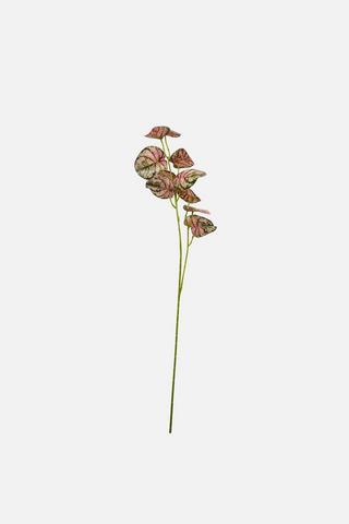 SINGLE STEM FAUX MONEY PLANT