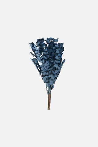 DRIED PENNY GUM FAUX BUNCH