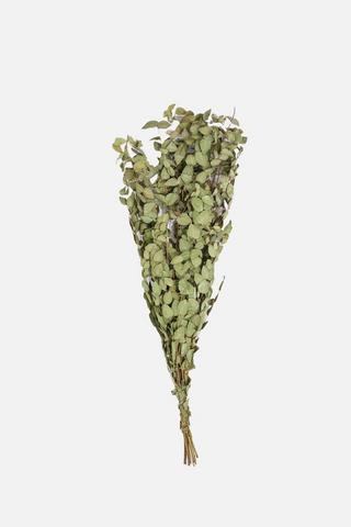 DRIED PENNY FAUX BUNCH