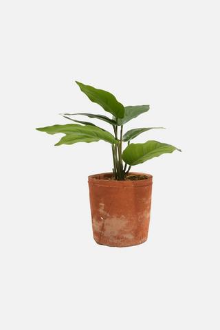 BANANA LEAF FAUX PLANT