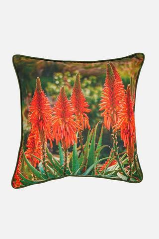 ALOE PRINTED SCATTER 50X50CM