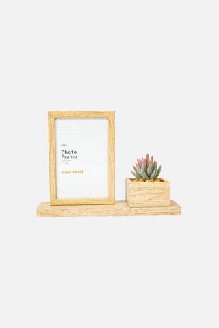 FAUX ALOE AND PHOTO FRAME