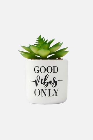 POTTED SLOGAN FAUX SUCCULANT