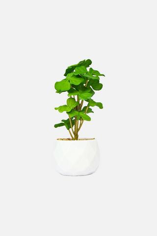 POTTED FAUX CLOVE PLANT