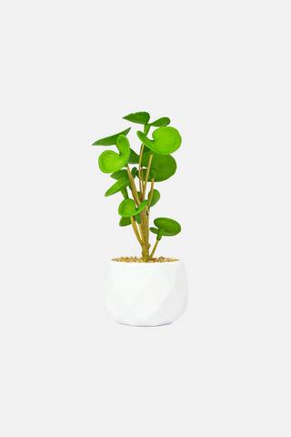 POTTED FAUX MONEY PLANT