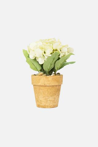 POTTED FAUX HYDRANGER PLANT