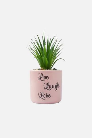 POTTED SLOGAN FAUX SUCCULANT