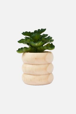 POTTED RIPPLE FAUX SUCCULANT
