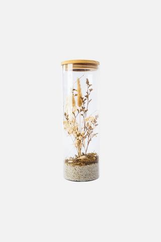 CYLINDER TUBE DRIED PLANT