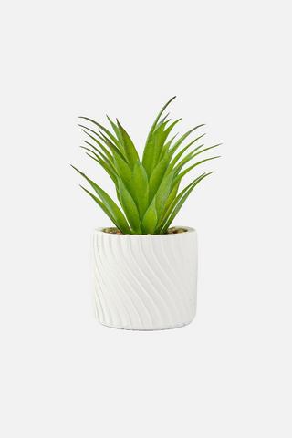 POTTED WAVY FAUX SUCCULENT