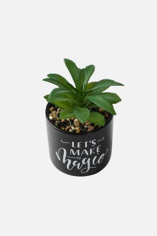 POTTED SLOGAN FAUX SUCCULANT