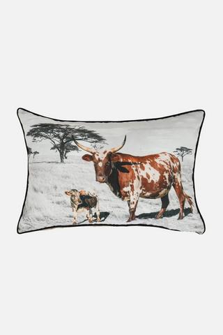 BULL TAN PRINTED BEDROOM SCATTER 40X60CM