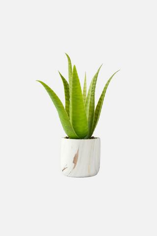POTTED MARBLE ALOE FAUX PLANT