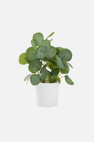 POTTED FAUX MONEY PLANT