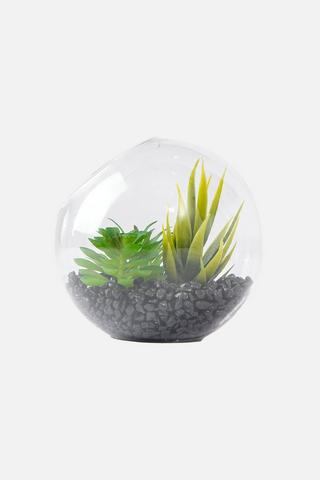 IGLOO POTTED SUCCULENT