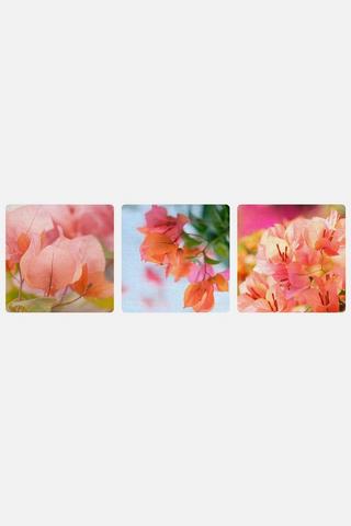 3 PACK BOUGANVILLA FLORAL WALL ART