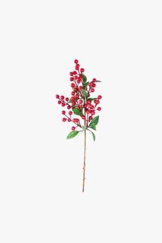 CHRISTMAS BERRY STEM