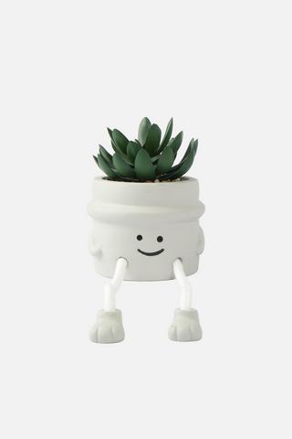 POTTED FACE SUCCULANT WITH HANGING LEGS
