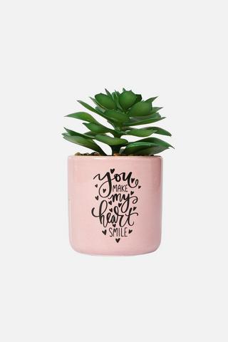 POTTED QUIRKY LIVE LOVE SUCCULANT