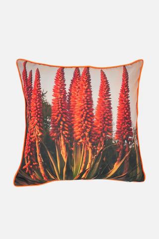 ALOE PRINTED SCATTER 50X50CM