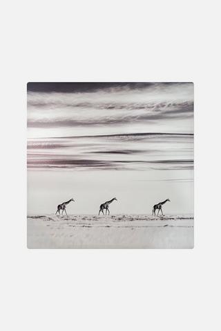WALKING GIRAFFE WALL ART 60X60CM