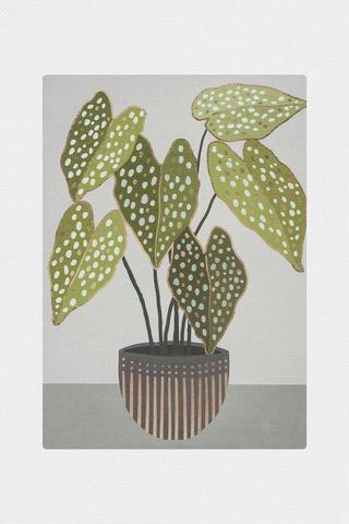 BEGONIA POTTED PLANT WALL ART 70X50CM