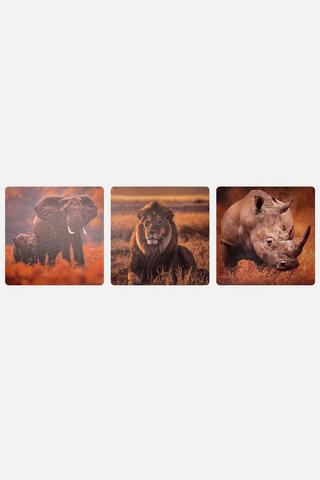 3 PACK THE WILD WALL ART 38X38CM