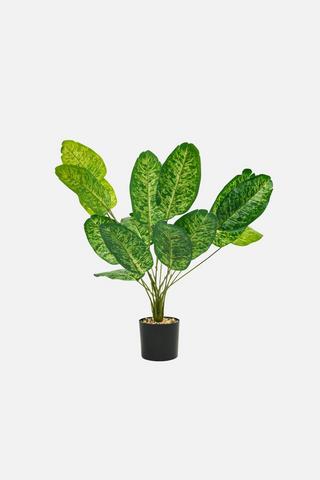 POTTED DIEFFENBACHIA FAUX PLANT