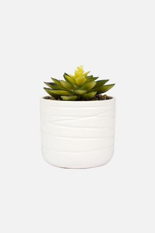 POTTED GLAZED SUCCULENT