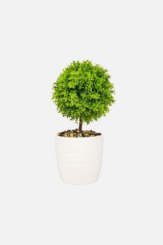 POTTED TOPIARY WHITE