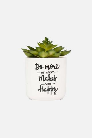 POTTED GOOD VIBES PLANT
