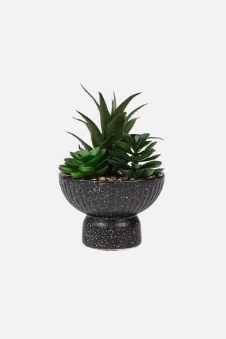 POTTED TERRAZZO SUCCULENT
