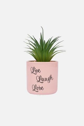 POTTED GOOD VIBES PLANT