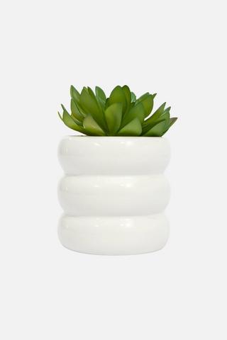 POTTED PLANT
