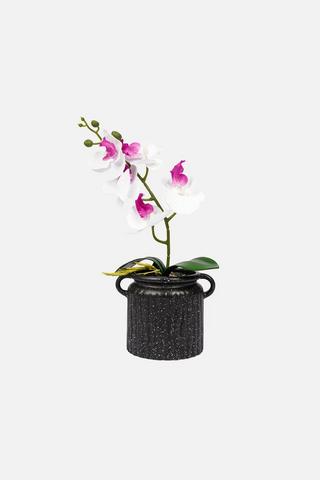 POTTED ORCHID TERRAZZO