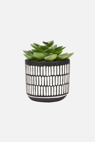 MINI POTTED PLANT BLACK&WHITE
