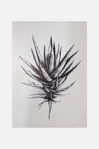 ALOE CANVAS 38X58CM