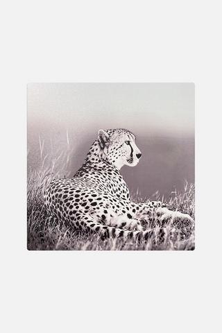 CHEETAH CANVAS  80X100CM