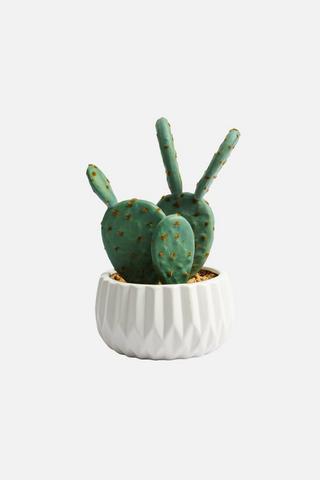 POTTED FAUX CACTUS PLANT