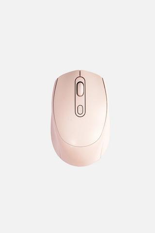 ASSORTED NOVELTY MOUSE