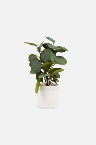POTTED FAUX MONEY PLANT