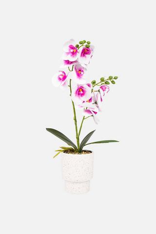 POTTED CERAMIC ORCHID