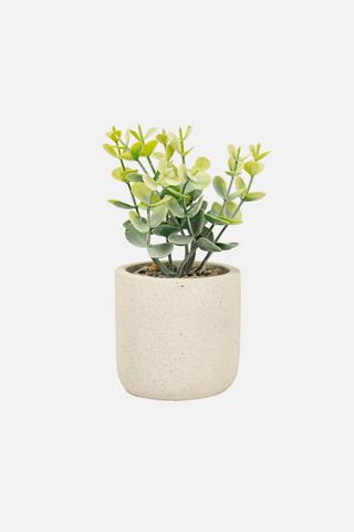 POTTED ROUGH CEMENT GUM LEAF