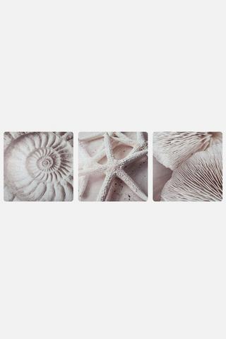3 PACK COASTAL ICONS WALL ART