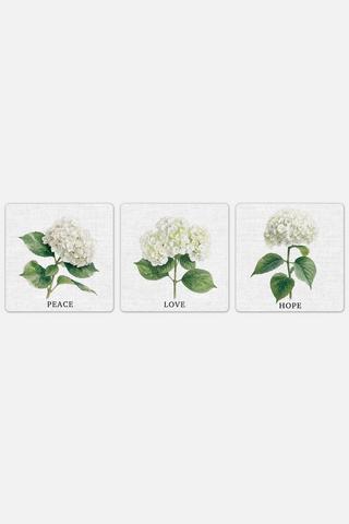 3 PACK FLORA WALL ART