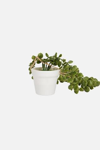 MINI HANGING POT PLANT
