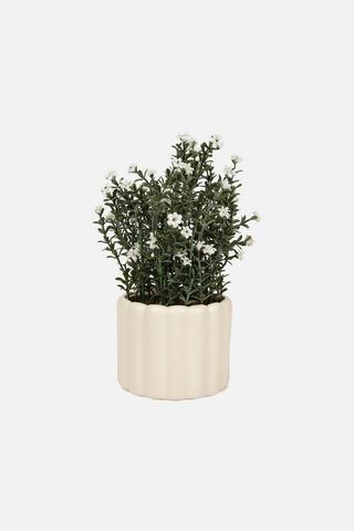 POTTED FAUX DAISY PLANT
