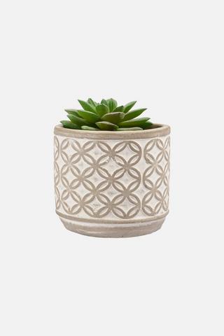 MINI CHAIN POTTED SUCCULANT
