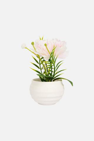 POTTED MINI BLOOMS