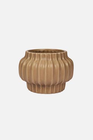 GINGER PLANTER